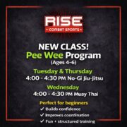Rise Combat AZ facility image