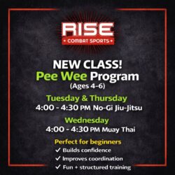 Rise Combat AZ facility image